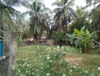 Land for Sale - Trincomalee