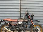 Triumph 3TA Taycorun 2025