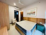 Trizen Fully Furnished Apartment for Rent - Colombo 2