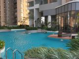 Trizen Fully Furnished Apartment for Rent - Colombo 2