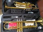 Trumpet 🎺