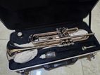 trumpet