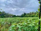 ( TS-1170) Valuable Residential Bare Land Sale in Padukka