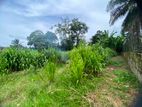 ( TS-1185) Valuable Residential Bare Land Sale in Malabe