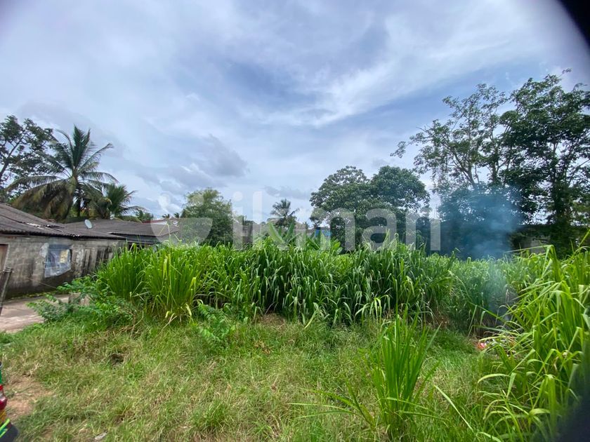 ( TS-1185)Valuable Residential Bare Land Sale in Malabe | ikman