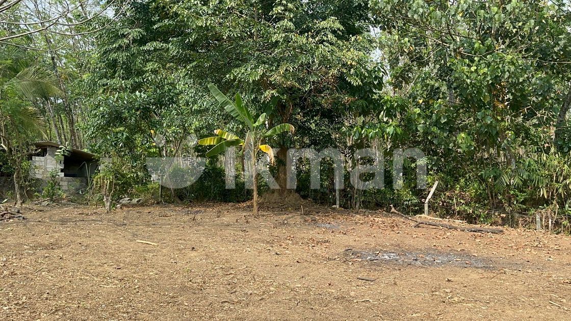 ( TS-1209) Valuable Residential Bare Land Sale in Padukka | ikman