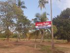 ටිකටික ගෙවන්න ගන්න ඉඩමක් Chilaw