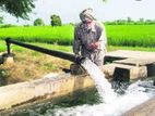 Tube Well - Ampitiya