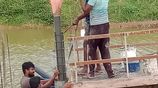 Tube Well And Concrete Filling
