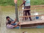 Tube Well and Concrete Filling - කොළඹ