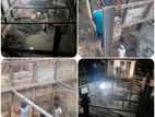 Tube Well and Concrete Filling - Minuwangoda