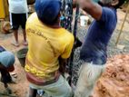 Tube Well and Concrete Piling Service Homagama