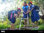 TUBE WELL and CONCRETE PILLING
