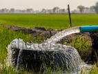 Tube well - බංඩාරගම