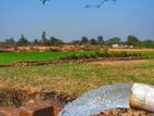 Tube Well - බත්තරමුල්ල