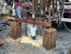 Tube Well