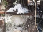 Tube Well