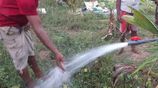 Tube well- Galle city