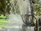 Tube Well - ගිනිගත්හේන