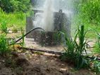 Tube well - Ingiriya