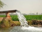 Tube Well - Kandy City