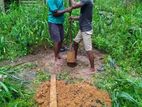 Tube Well නල ළිං සේවාව - Gampaha City