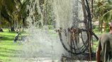 Tube Well - Piliyandala