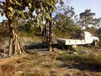 Tube Well - Polonnaruwa