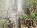 Tube Well Service - අම්පිටිය