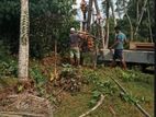 Tube Well Service And Concreate Piling / නළ ලිං සහ කොන්ක්රීට් ෆයිලින්