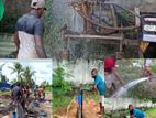 Tube Well Service and Concrete Pilings - Bandaragama