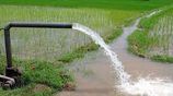 Tube Well Service - Athurugiriya