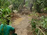 Tube Well Service - Athurugiriya
