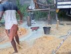 Tube Well Service - Baddegama