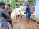 Tube Well Service - Colombo