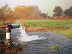 Tube Well Service Divulapitiya
