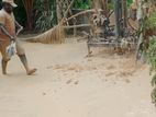 Tube Well Service - Galgamuwa