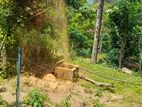 Tube Well Service - Gampaha
