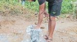 Tube Well Service - ගම්පහ
