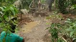 Tube Well Service - ගම්පහ