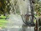 Tube Well Service - ගම්පොළ
