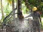 Tube Well Service - Ingiriya