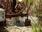 Tube Well Service - Kadawatha