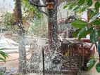 Tube Well Service - Minuwangoda
