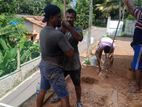 Tube Well Service - නල ළිං ඉදිකිරිම Pelmadulla