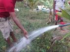 Tube Well Service - නළ ලිං ඉදිකිරීම දෙල්වගුර