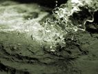 Tube Well Service - නළ ලිං ඉදිකිරීම