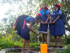 Tube Well Service / නළ ලිං සහ කොන්ක්‍රීට් ෆයිලින්