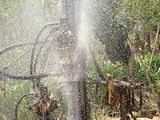 Tube Well Service - Padukka