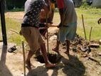 Tube Well Service - Padukka